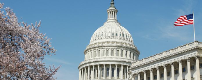 Photo of U.S. Capitol with Flag 