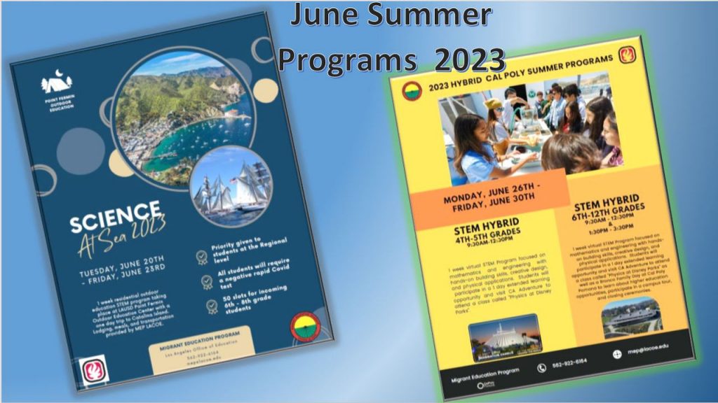 summer program brochures